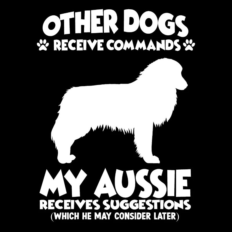 Lustige Australian Shepherd Hundetraining Hunde