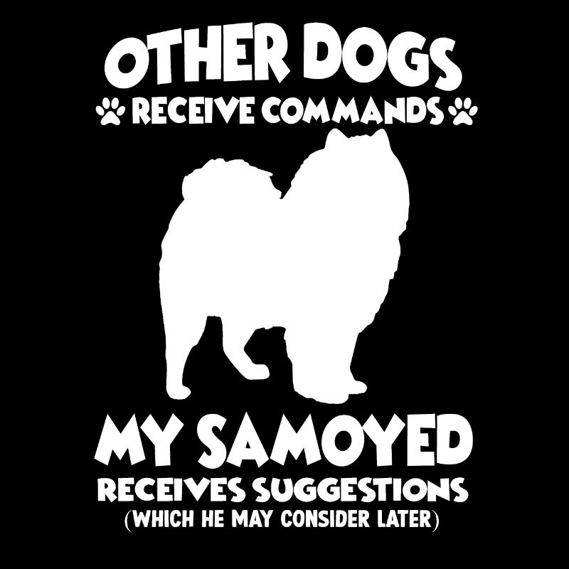 Funny Obedience Samoyed Dog Training Hun