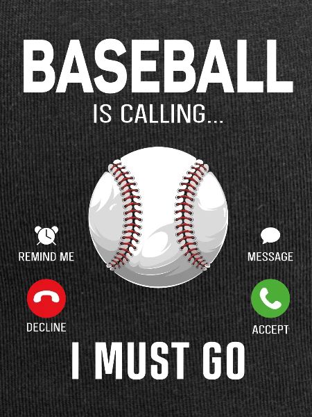 Baseball Fan Phone Display