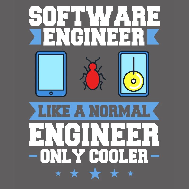 Software Engineering Software Engineering Engineer