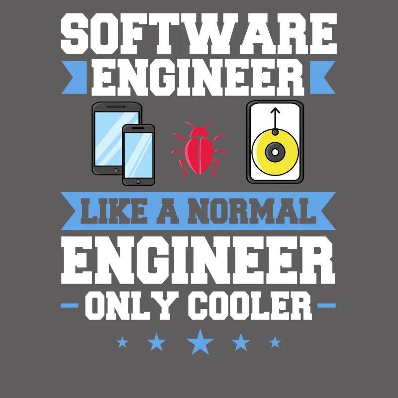 Software Engineering Softwaretechnik Ingenieur