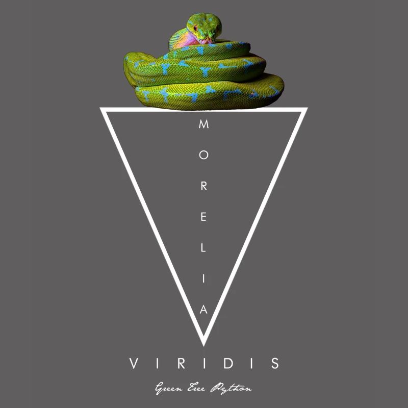 Grüner Baum Python Modern Geometric