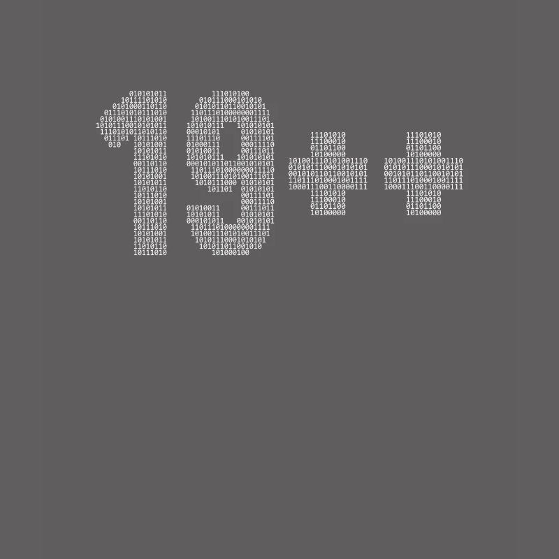 19++ Programmierer Softwareingenieur Coder 20.