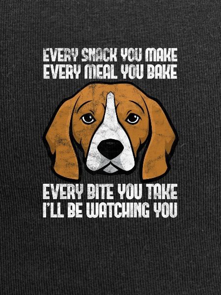 Beagle