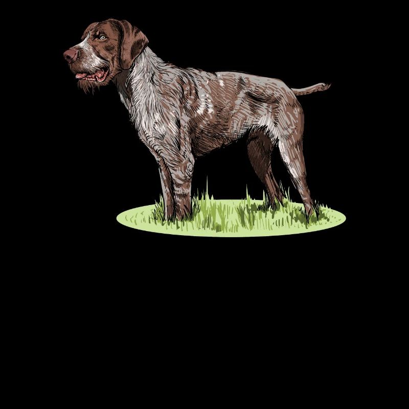 Deutsch Drahthaar I Jagdhund Vorstehhund Geschenk