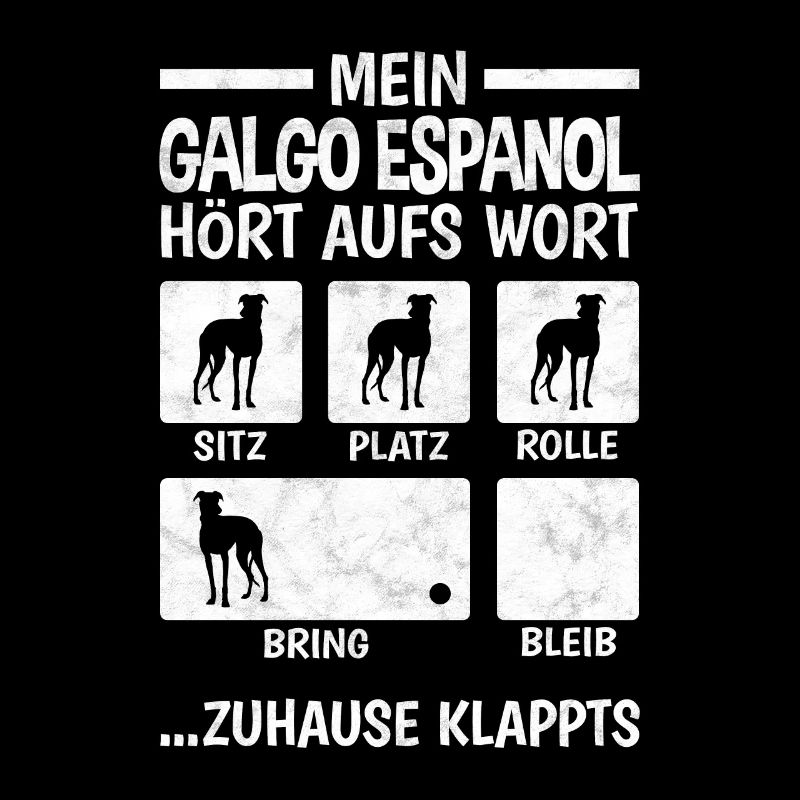 Galgo Espanol Hundetricks Spanien Windhund