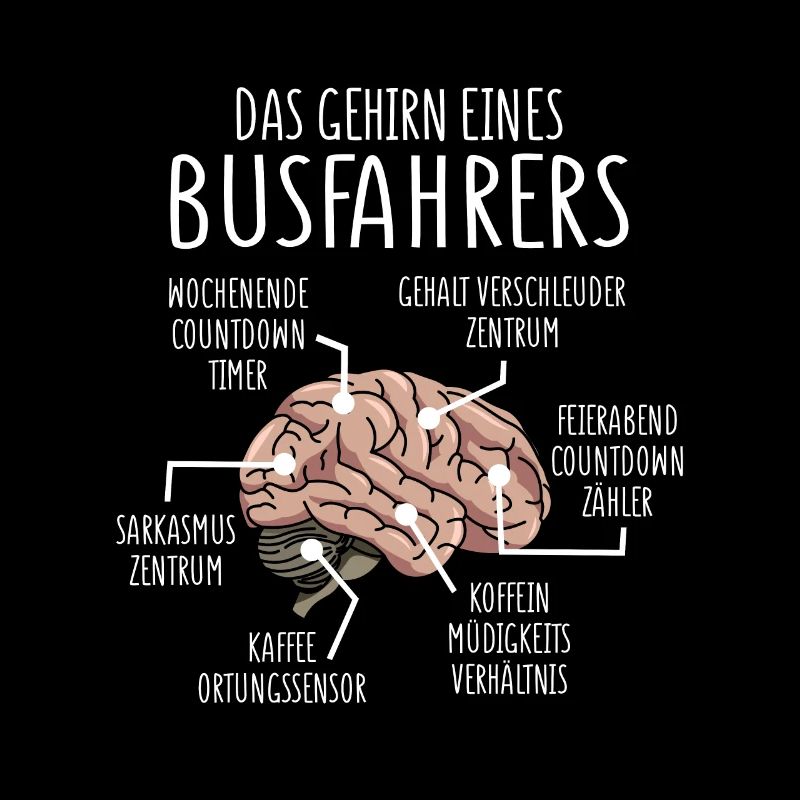 Busfahrer Anatomie Gehirn Reisebus