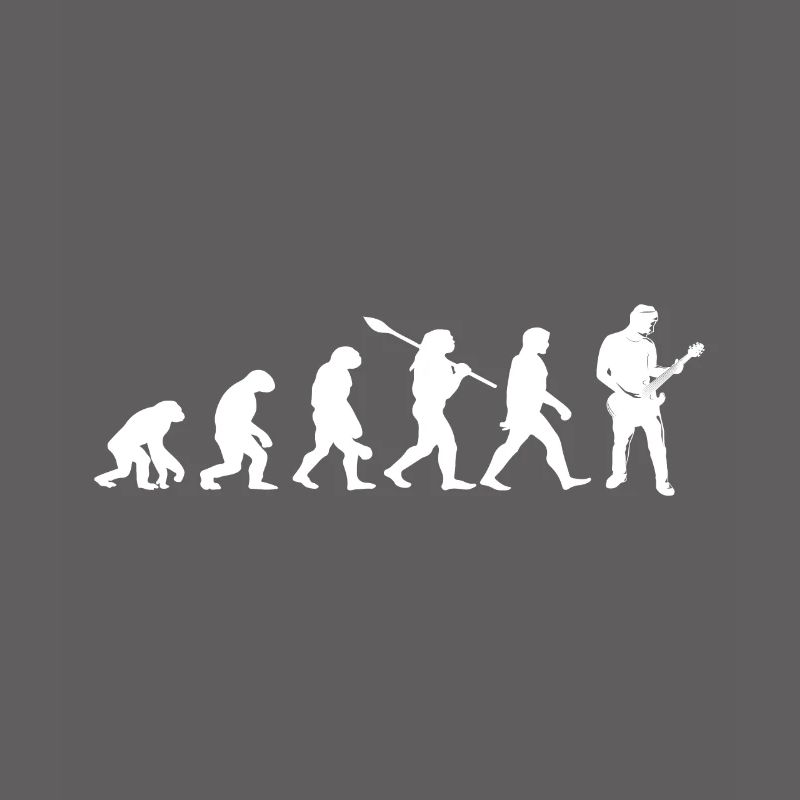 evolution guitariste