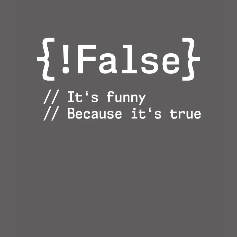 False It's Funny Because It's True Programmierer