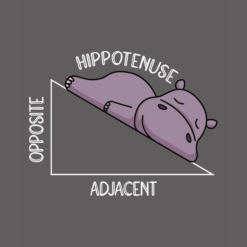 Algebra Math Student Math Teacher Hippotenuse