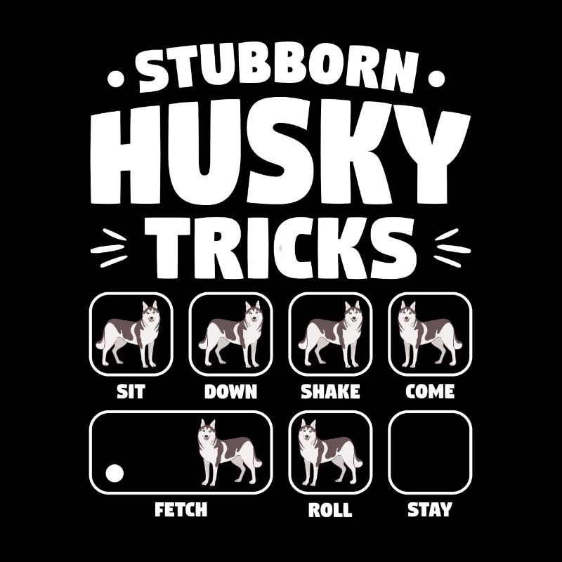 Stubborn Husky Tricks Drôles de Huskies