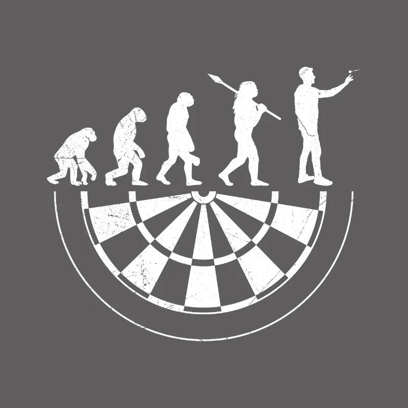 Dartboard Evolution Darts Accessoires Fléchettes Fléchettes
