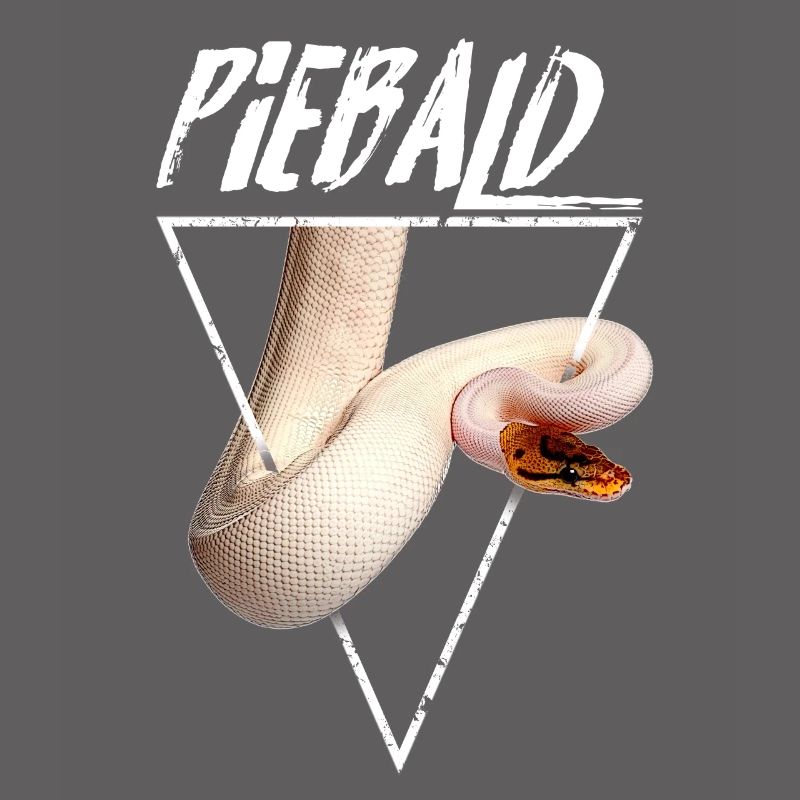 Piebald Ball Python Reptile Keeper