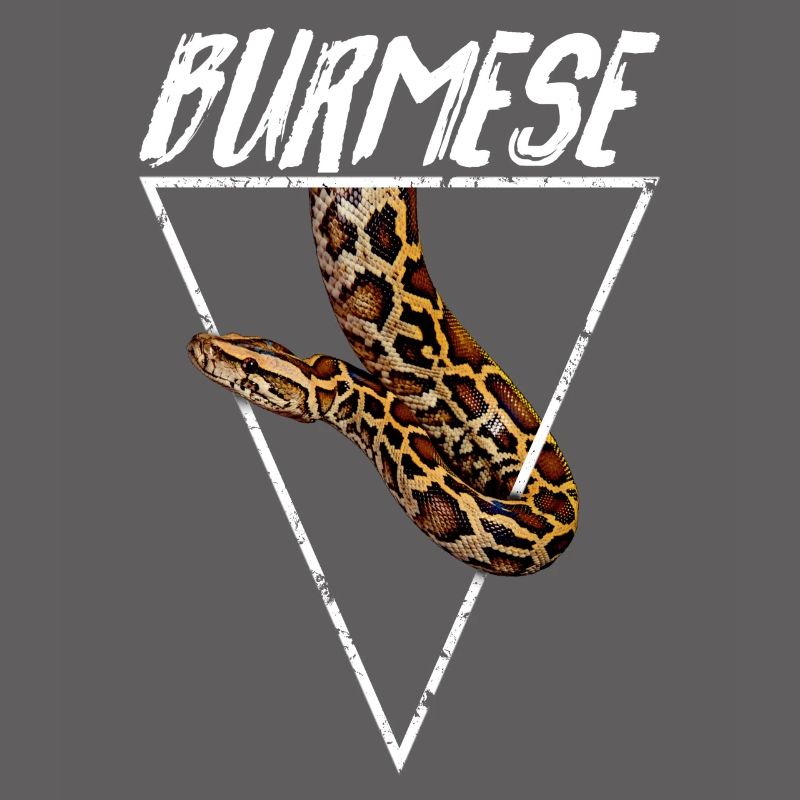 Burmesischer Python Besitzer Geometrisch