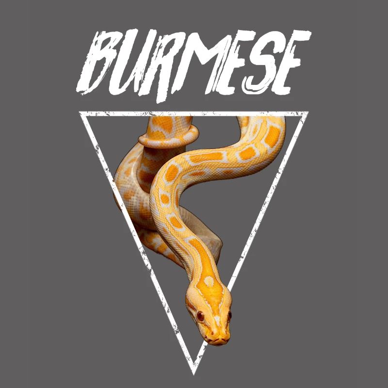 Propriétaire de serpent Python birman