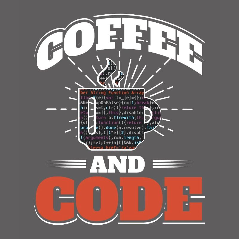 Software Computer Developer