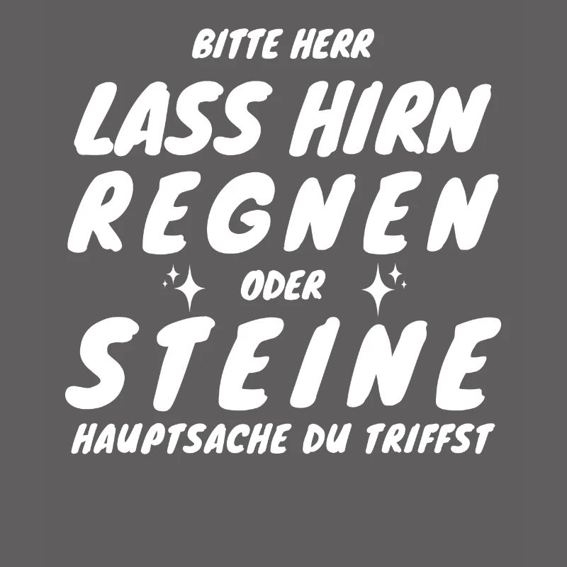 New Bitte Herr lass Hirn regnen oder Steine...