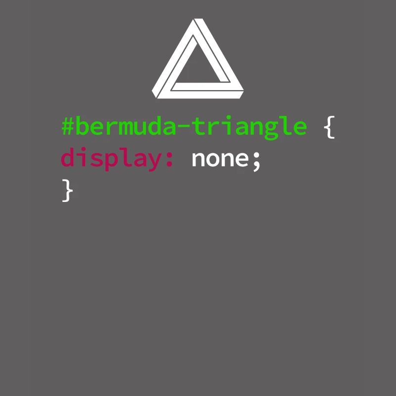 Web und CSS Programmierer Developer Coding Code