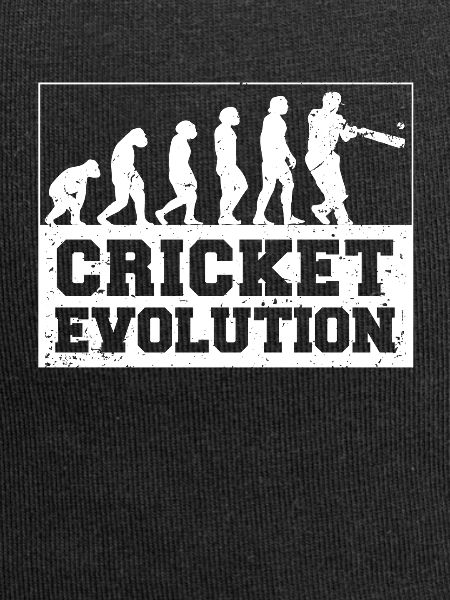 Cricketer Cricket-game Evolution