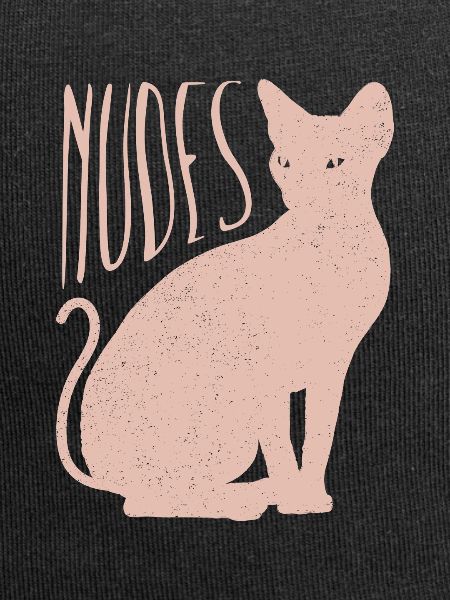 Nudes Sphynx Cat Kitten