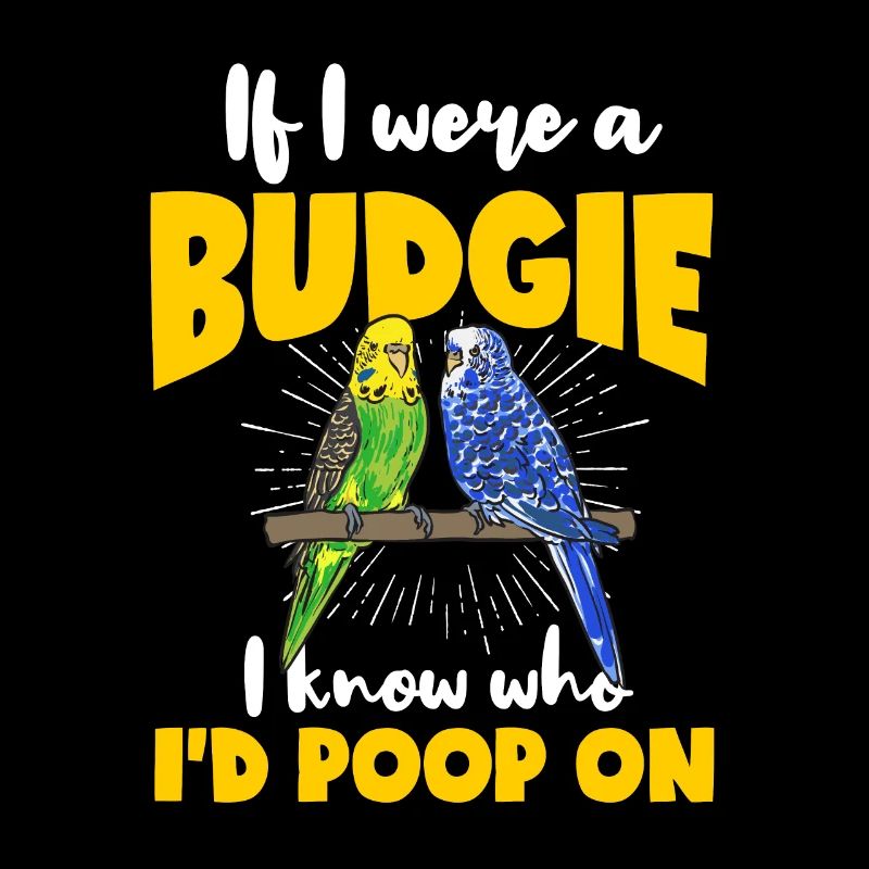 Budgerigar Parakeet Bird Pet Gift