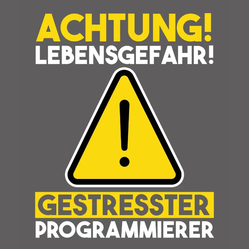 Programmieren Entwickler Coder Programmierer