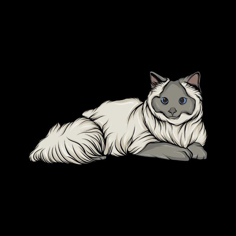 Katze