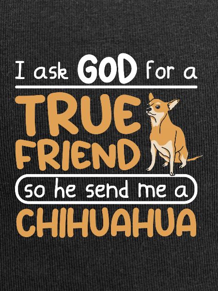 True friend dog chihuahua