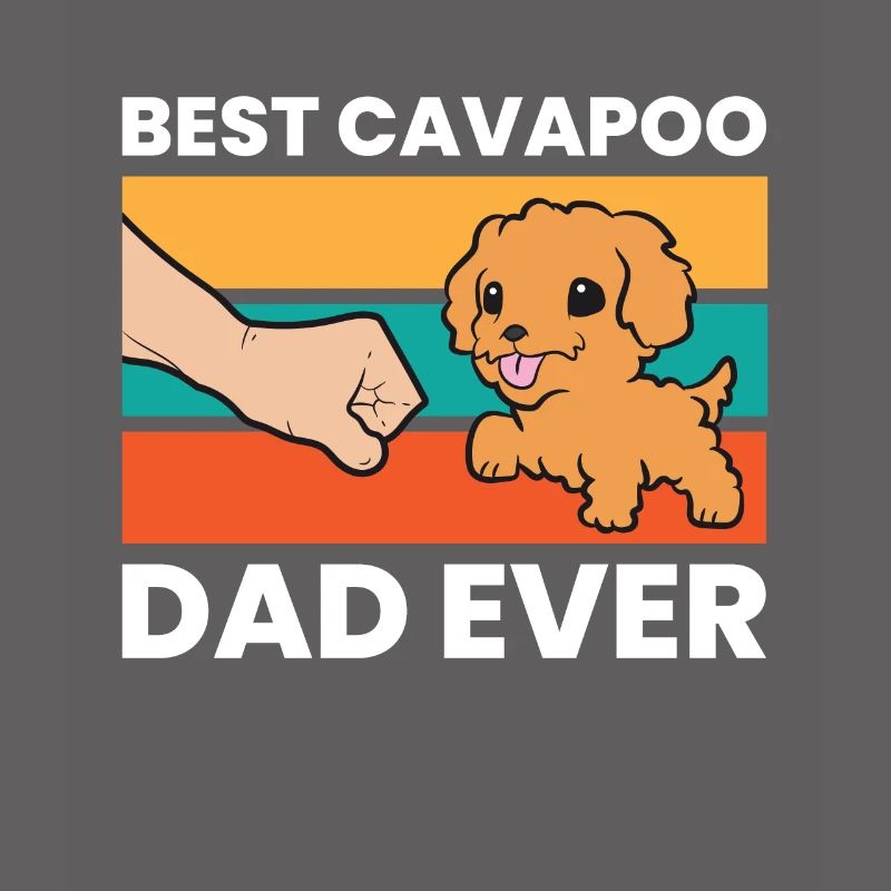 Cavapoo Hund Papa Cavoodle Bester Cavapoo Papa