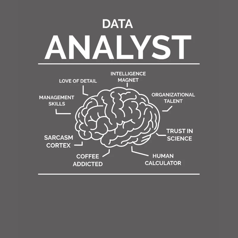 Data Analyst