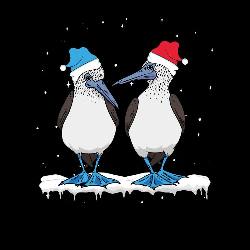 Noël à pieds bleus