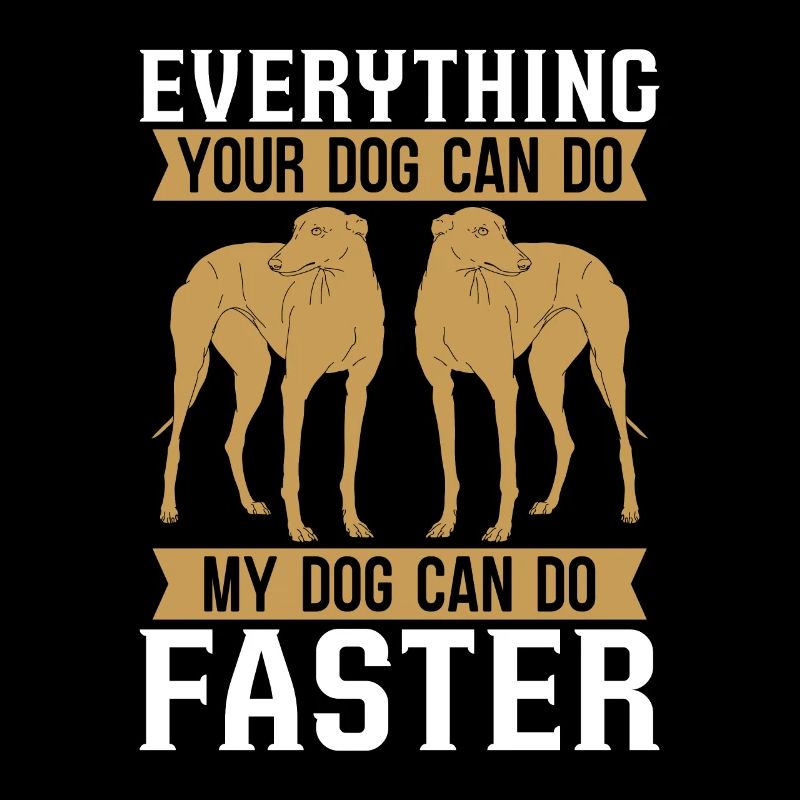 Greyhound Racing Everything Your Greyhound Racer