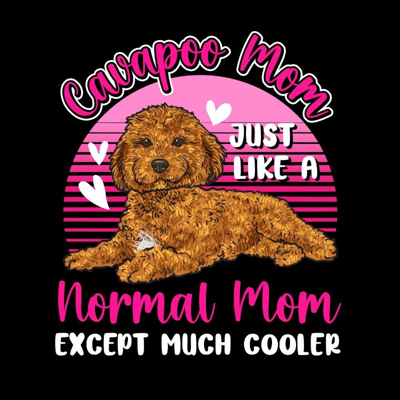 Cavapoo Cavoodle Capoodle Hund