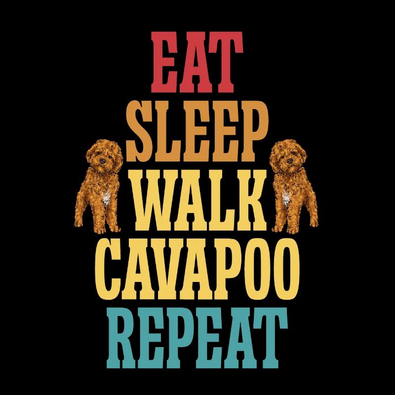 Cavapoo Cavoodle Capoodle Chien