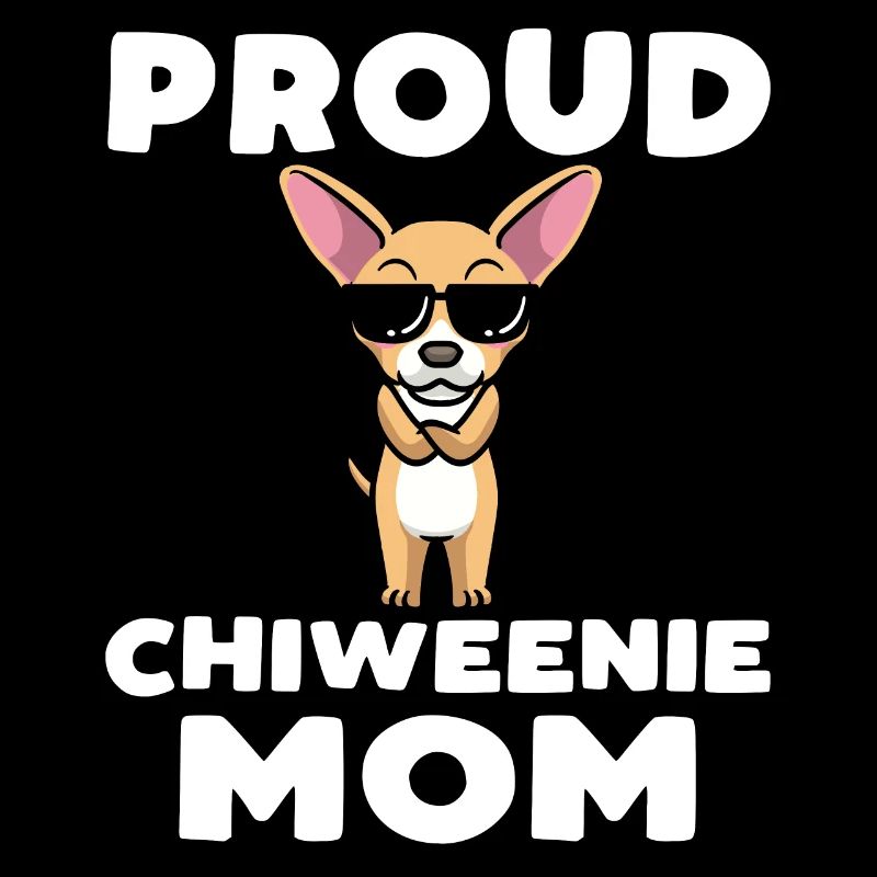 Chiweenie Dog