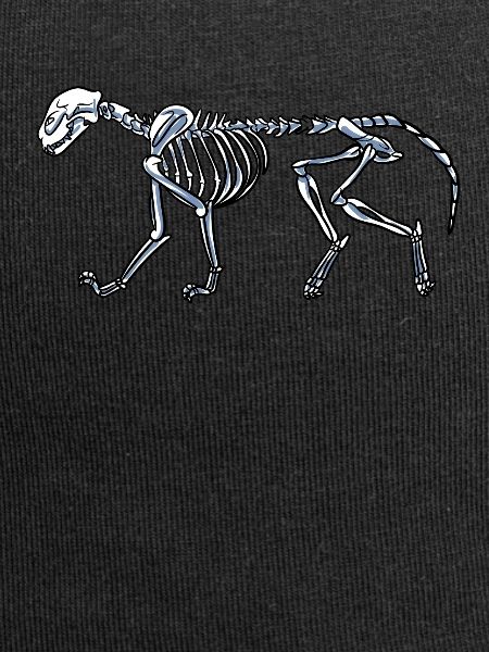 Skeleton Cat