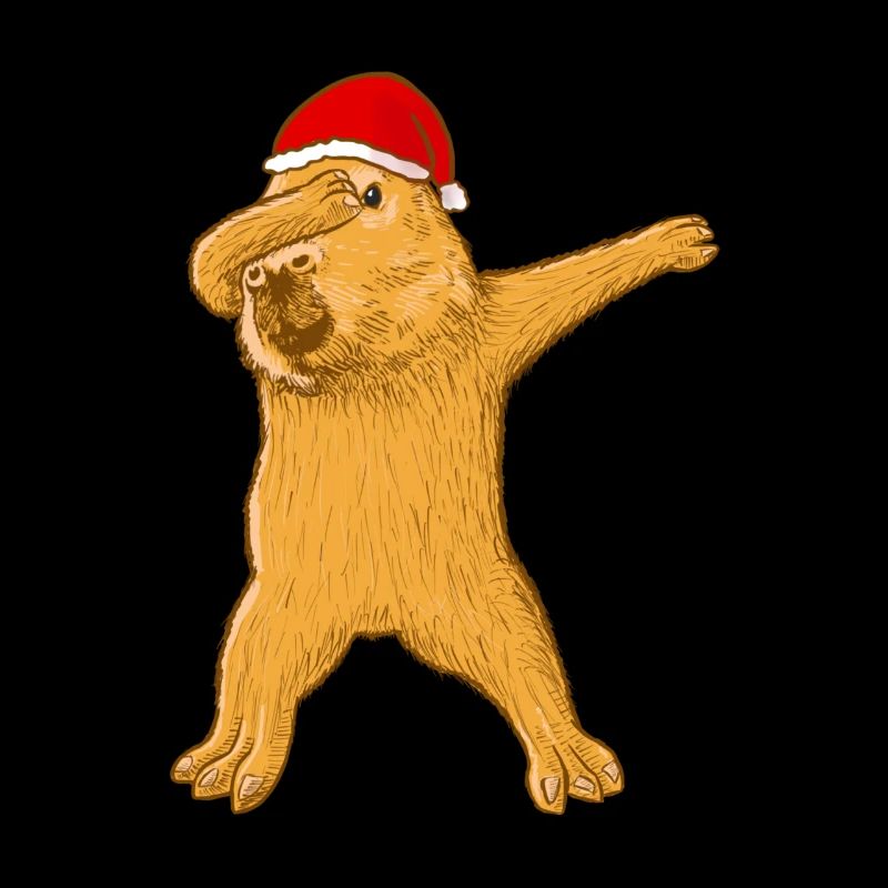 Noël Capybara