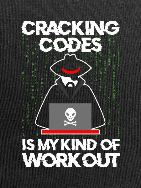 Cybersecurity Professional Hacker Cracking Codes