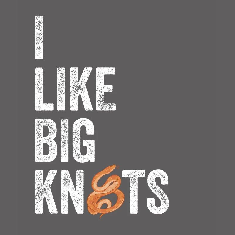 Königspython Ball Python