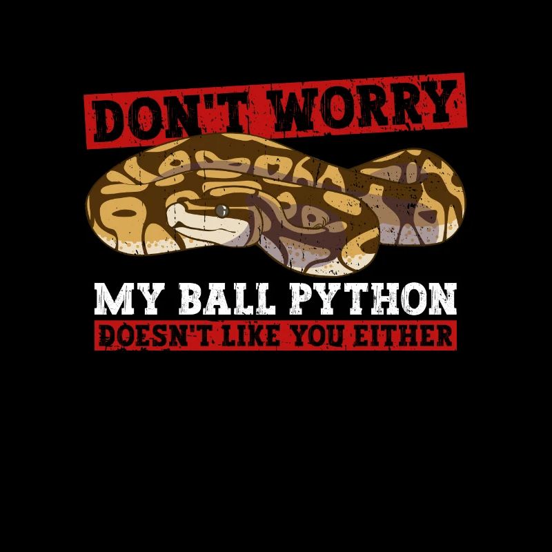 Königspython Bananenkugel Python