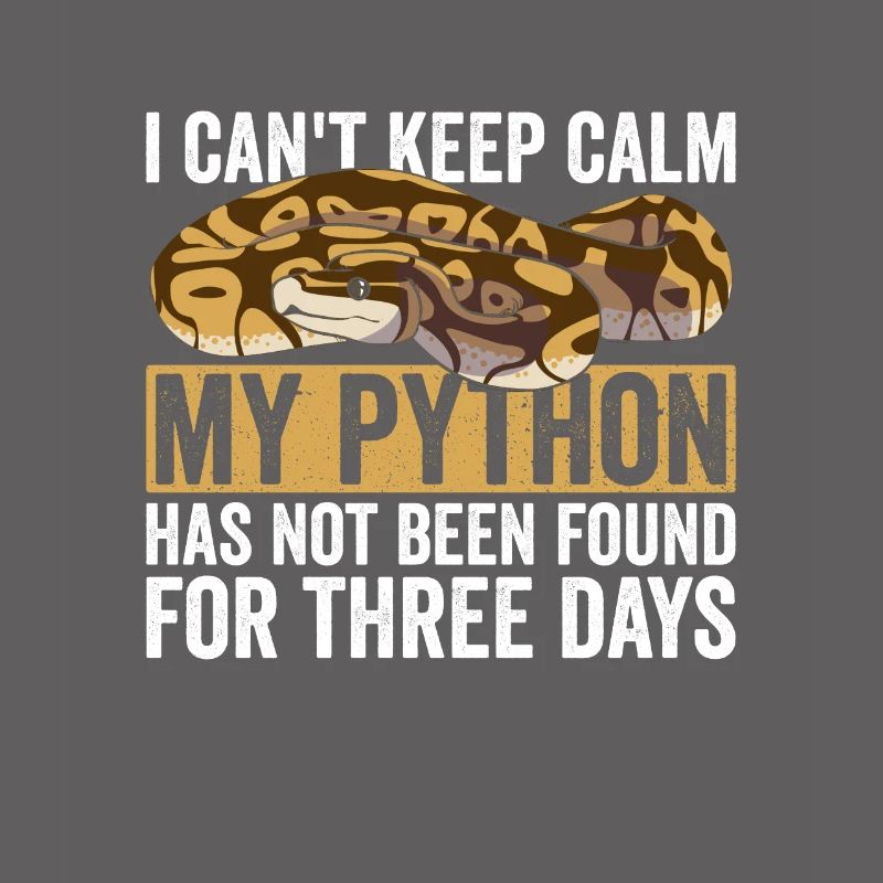 Königspython Boule de banane Python