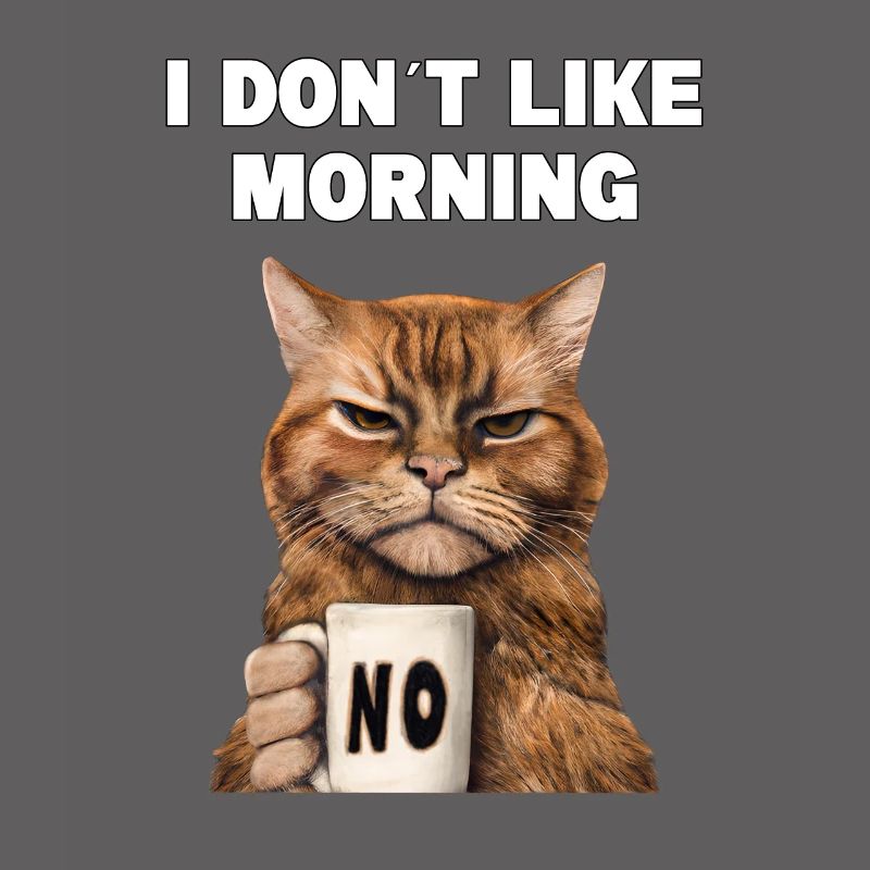 I don't like morning grumpy funny cat with