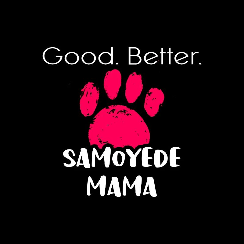 Samoyède
