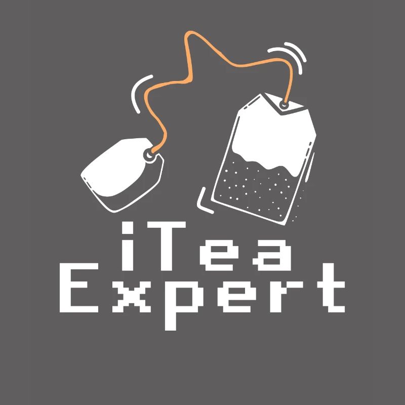 Itea-Experte Computer Software Programmierer