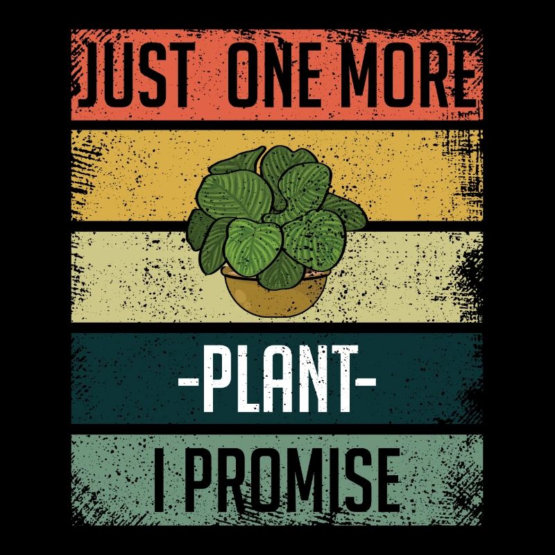 Noch ein Pflanzenbauer Garten Hobbygärtner