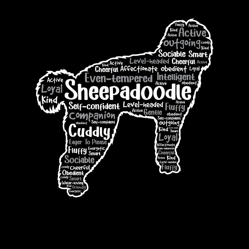 Sheepadoodle Doodle Dog