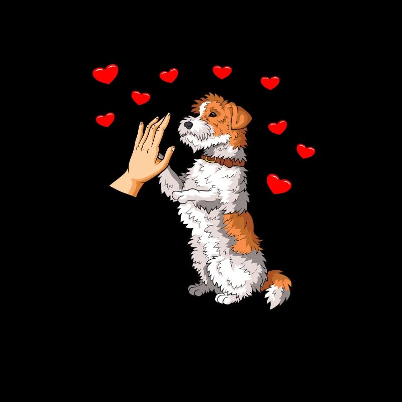 Drahthaar Foxterrier Hund