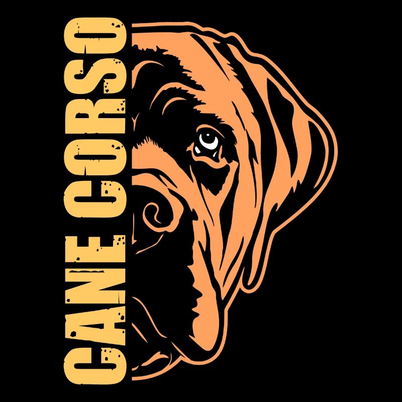 Cane Corso Hund