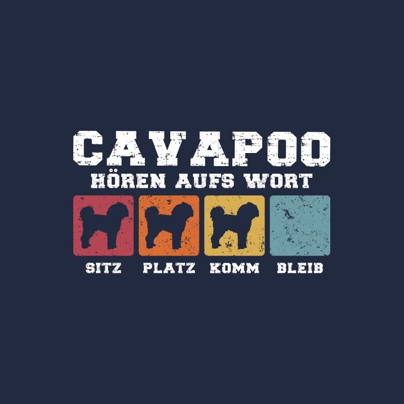 Cavapoo hören aufs Wort