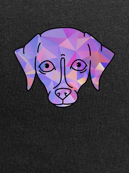 Whippet